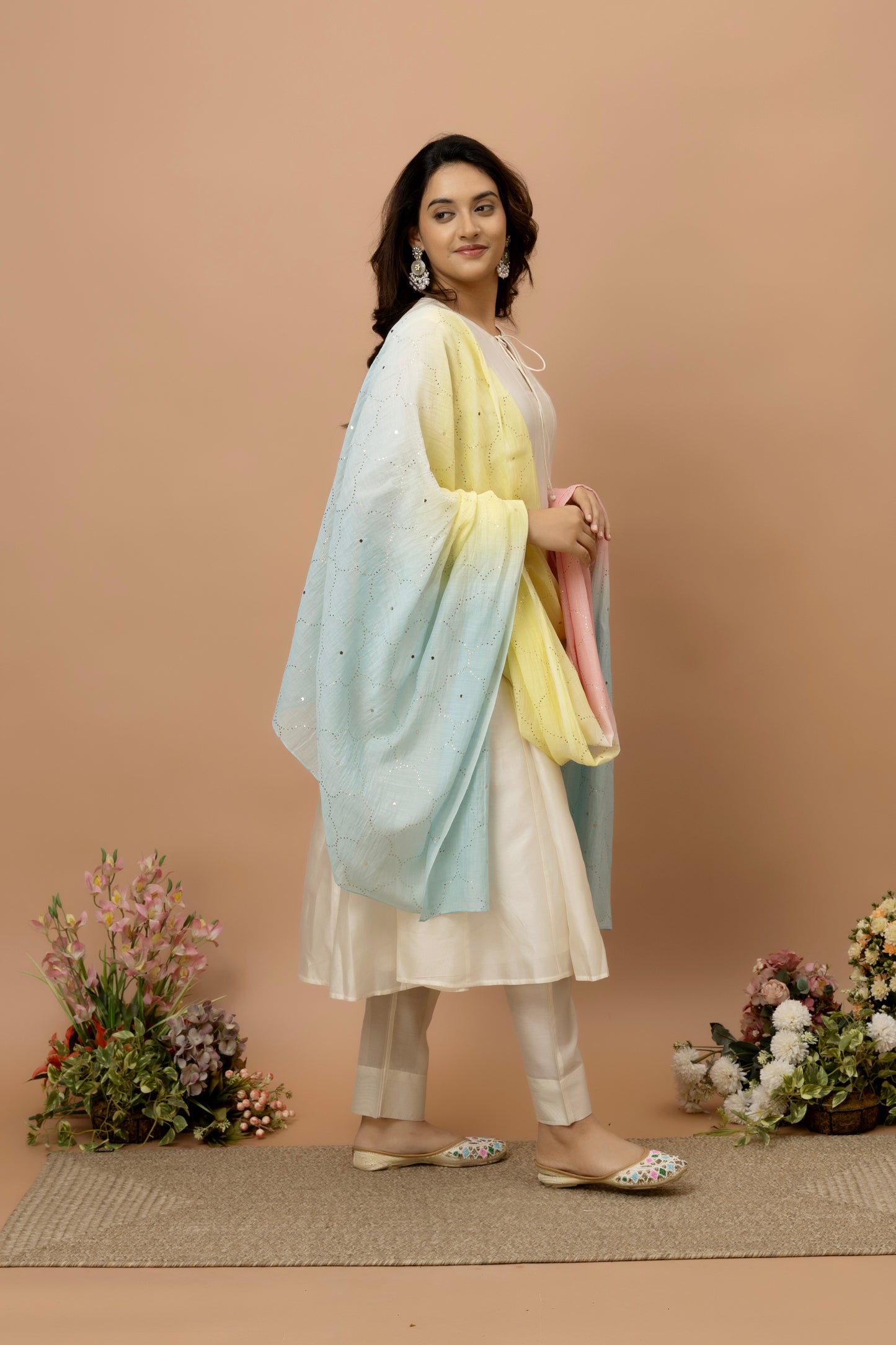 Rozanna Multi Coloured Shaded Mukaish Dupatta