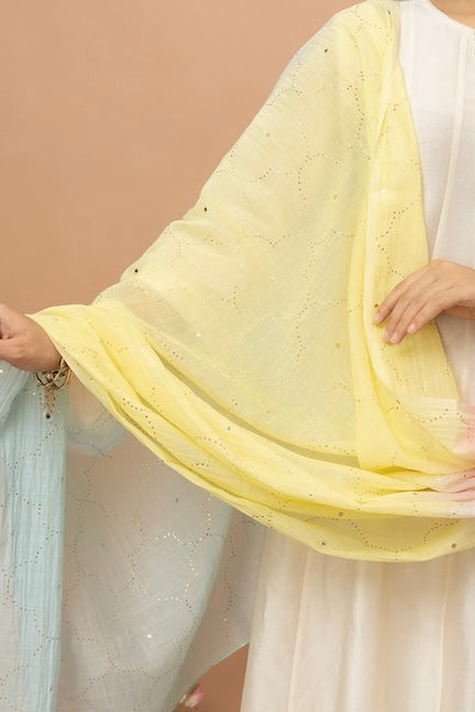 Rozanna Multi Coloured Shaded Mukaish Dupatta
